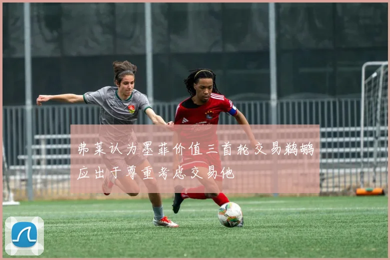 弗莱认为墨菲价值三首轮交易鹈鹕应出于尊重考虑交易他