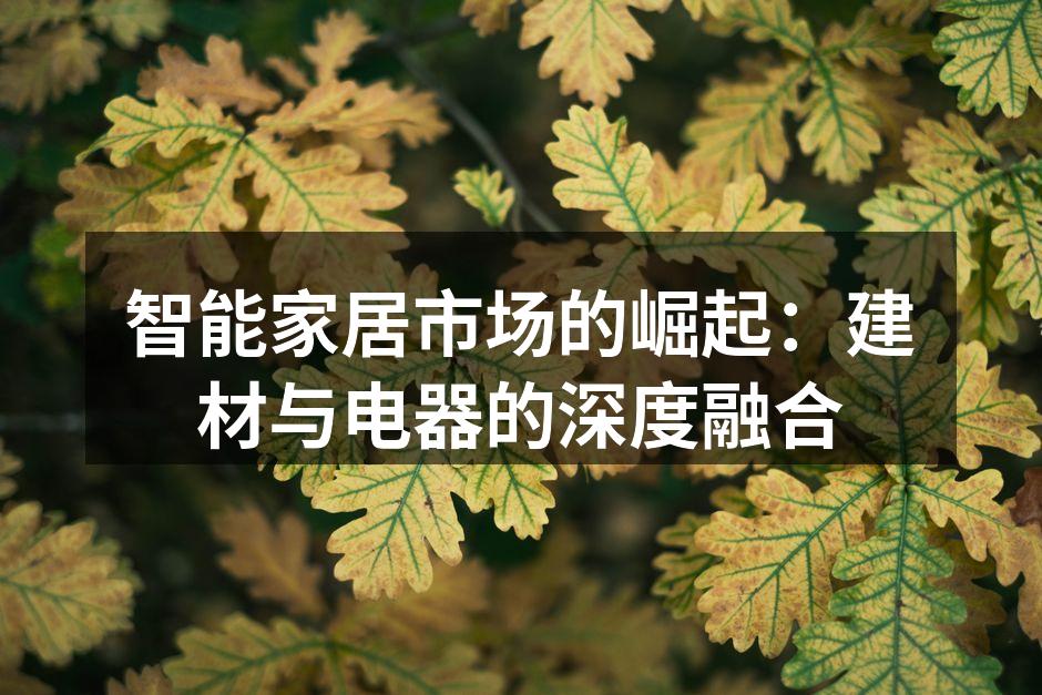 智能家居市场的崛起：建材与电器的深度融合